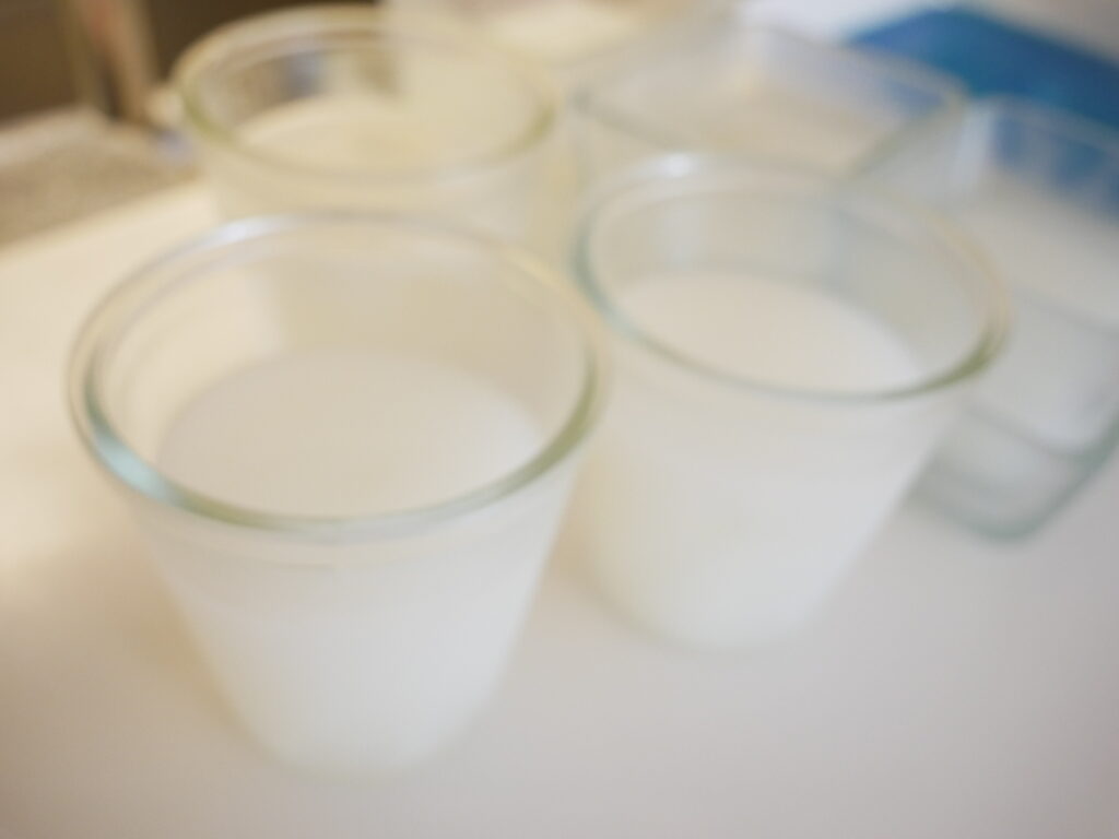 カップに注がれた白いカルピスゼリーを冷やしている様子