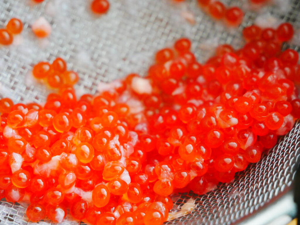 ザルの上でほぐしたいくらを洗っている様子