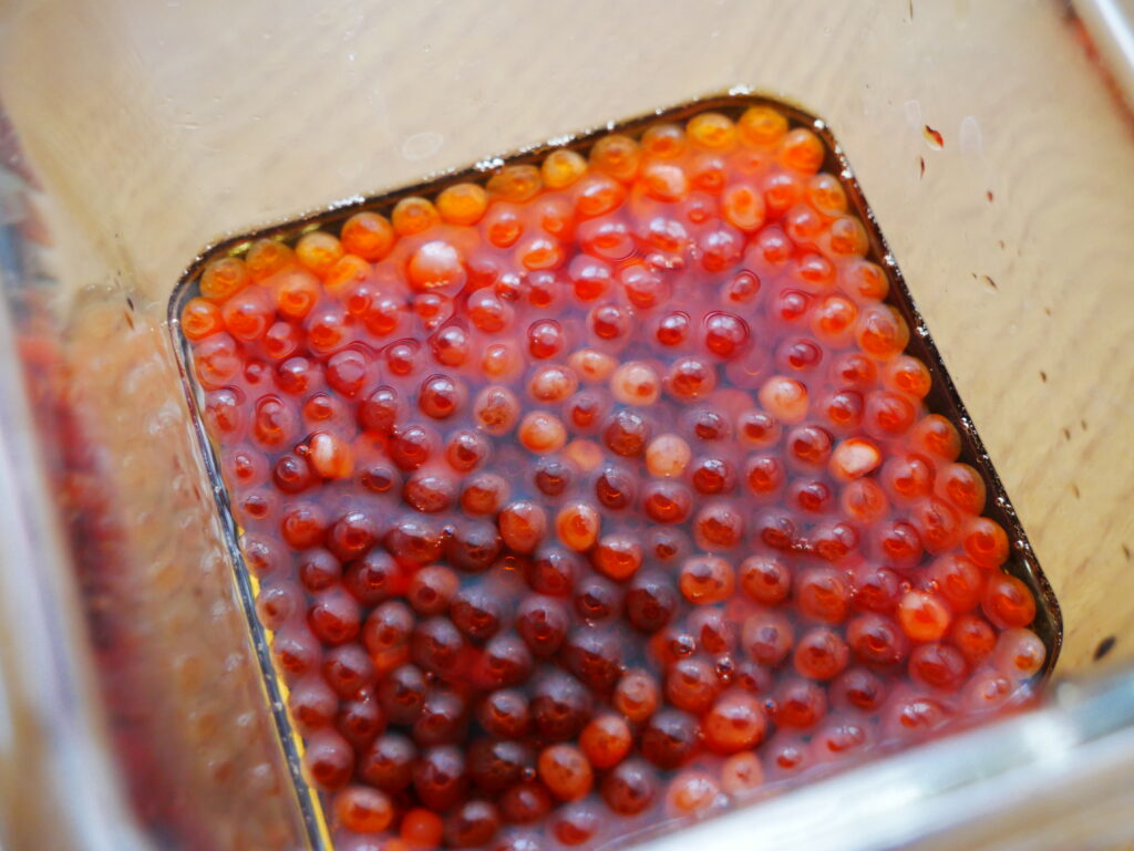 醤油だれに漬け込まれた鮮やかなオレンジ色のいくら