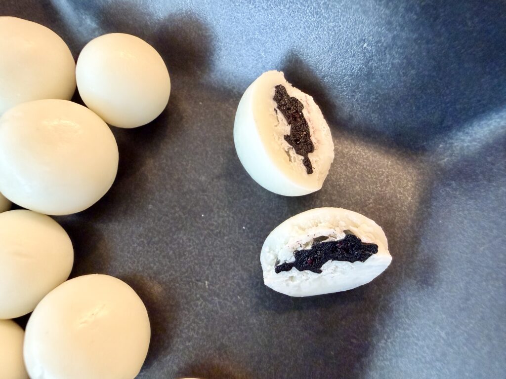 Real Earth Bountyブルーベリー味の断面（ヨーグルトコーティングと中の果実）