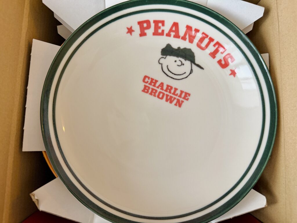 チャーリーブラウンデザインのスヌーピーパスタプレート