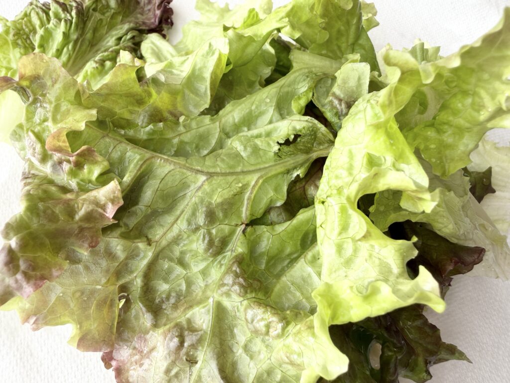 冷しゃぶサラダに使うレタス