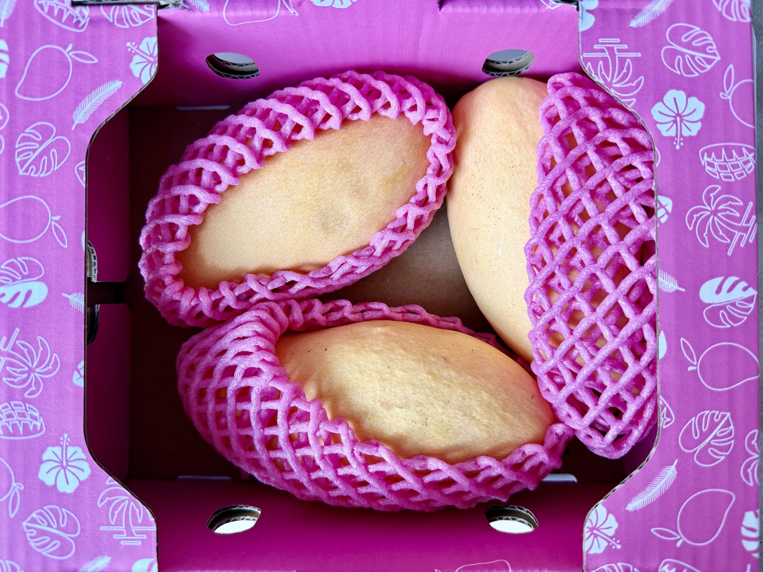 コストコ タイマンゴー 箱入り 大きさ