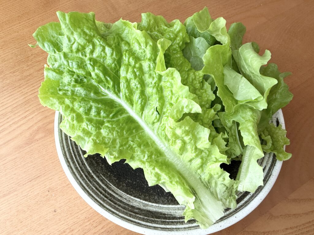 洗って皿に盛り付けたコストコの根付きサンチュ