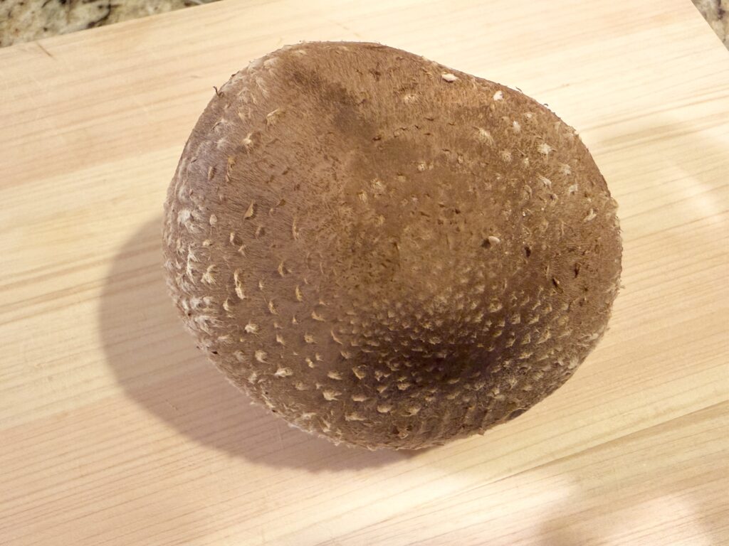 まな板にのせた大きくて肉厚な椎茸