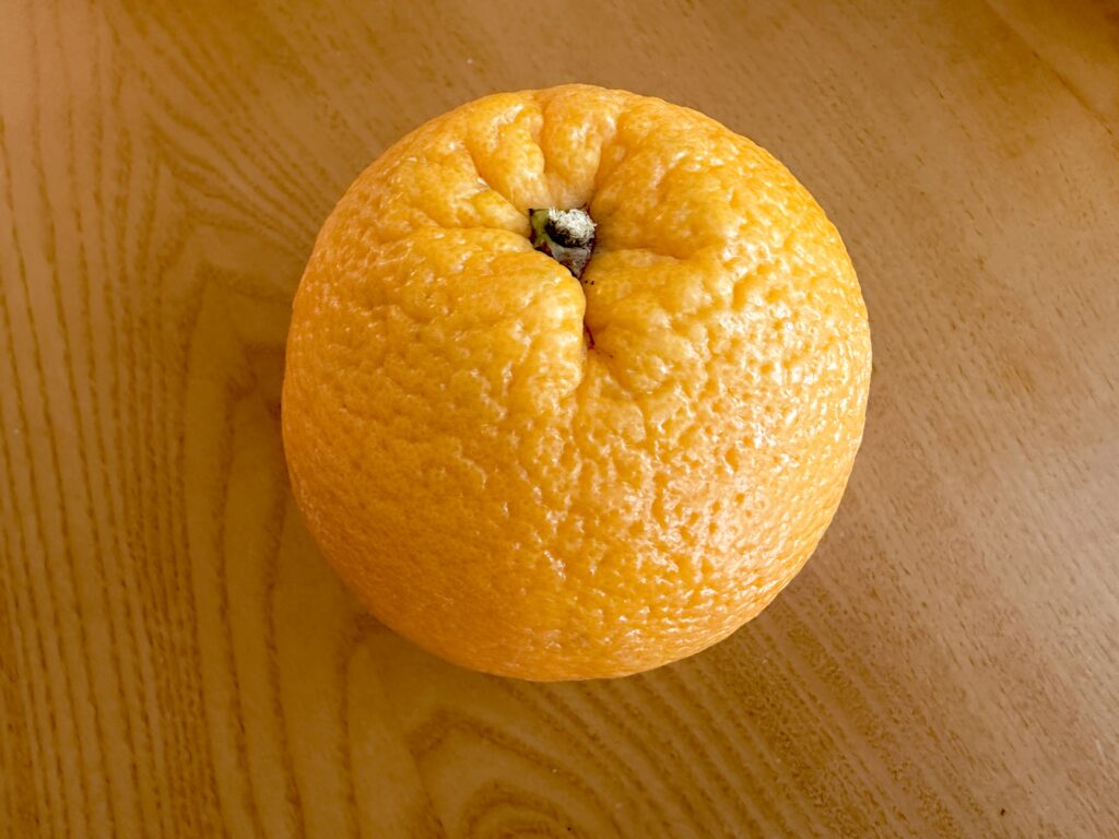 おへそのようなくぼみがあるネーブルオレンジ